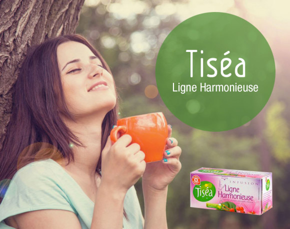 Reflexion Naming pour Tiséa Reflexion Naming pour Tiséa